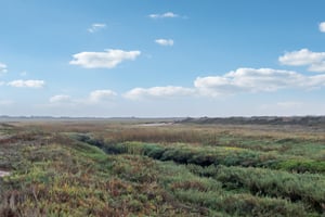 5th St-S2910-079.jpg