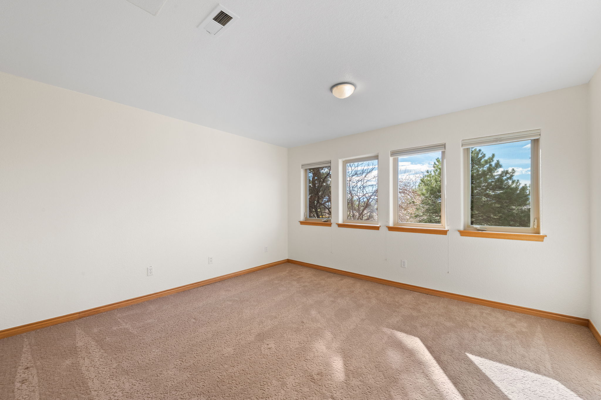 Lower Level Bedroom (non-Conforming) easy to add a closet