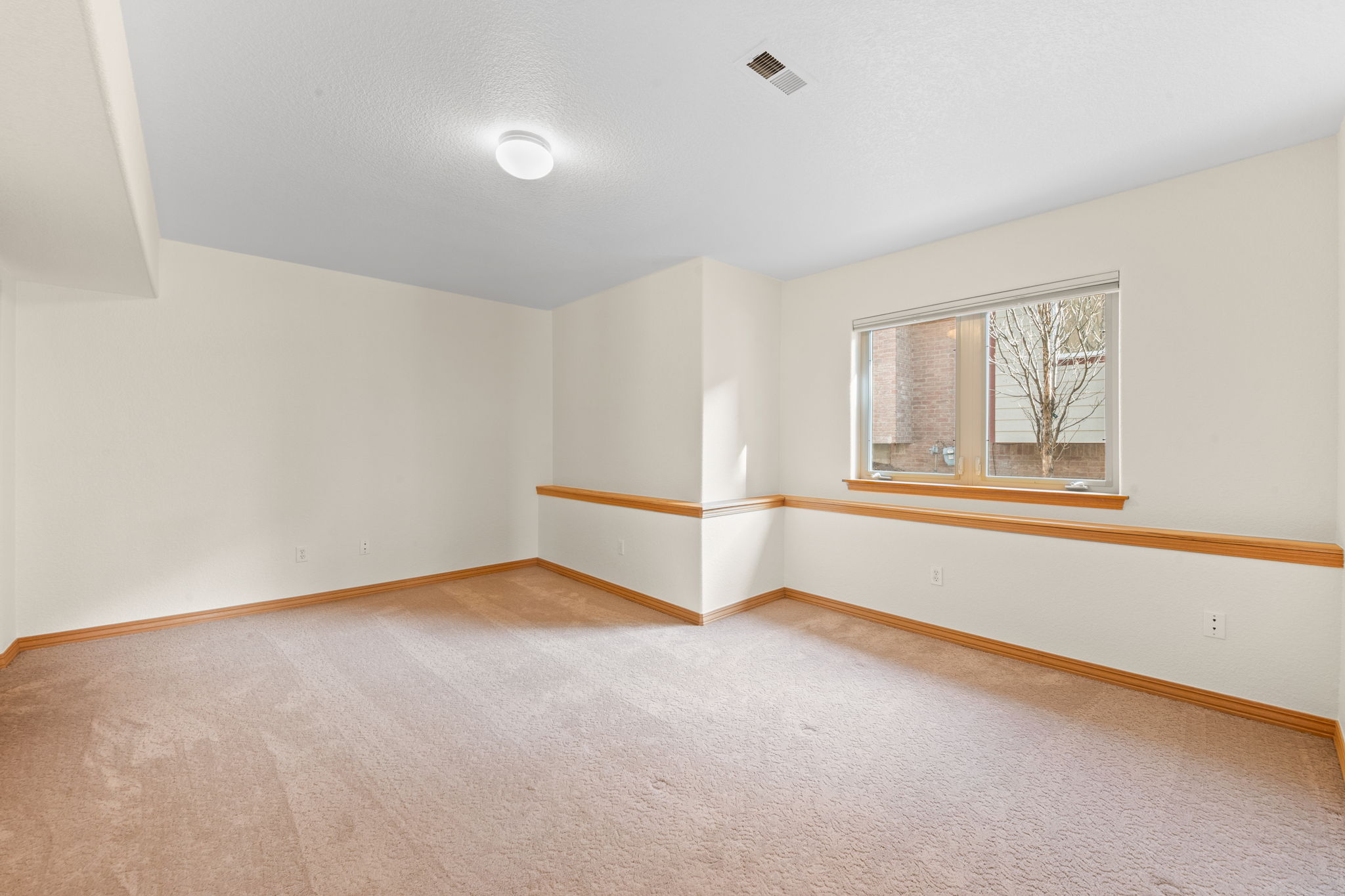 Large Lower Level conforming bedroom