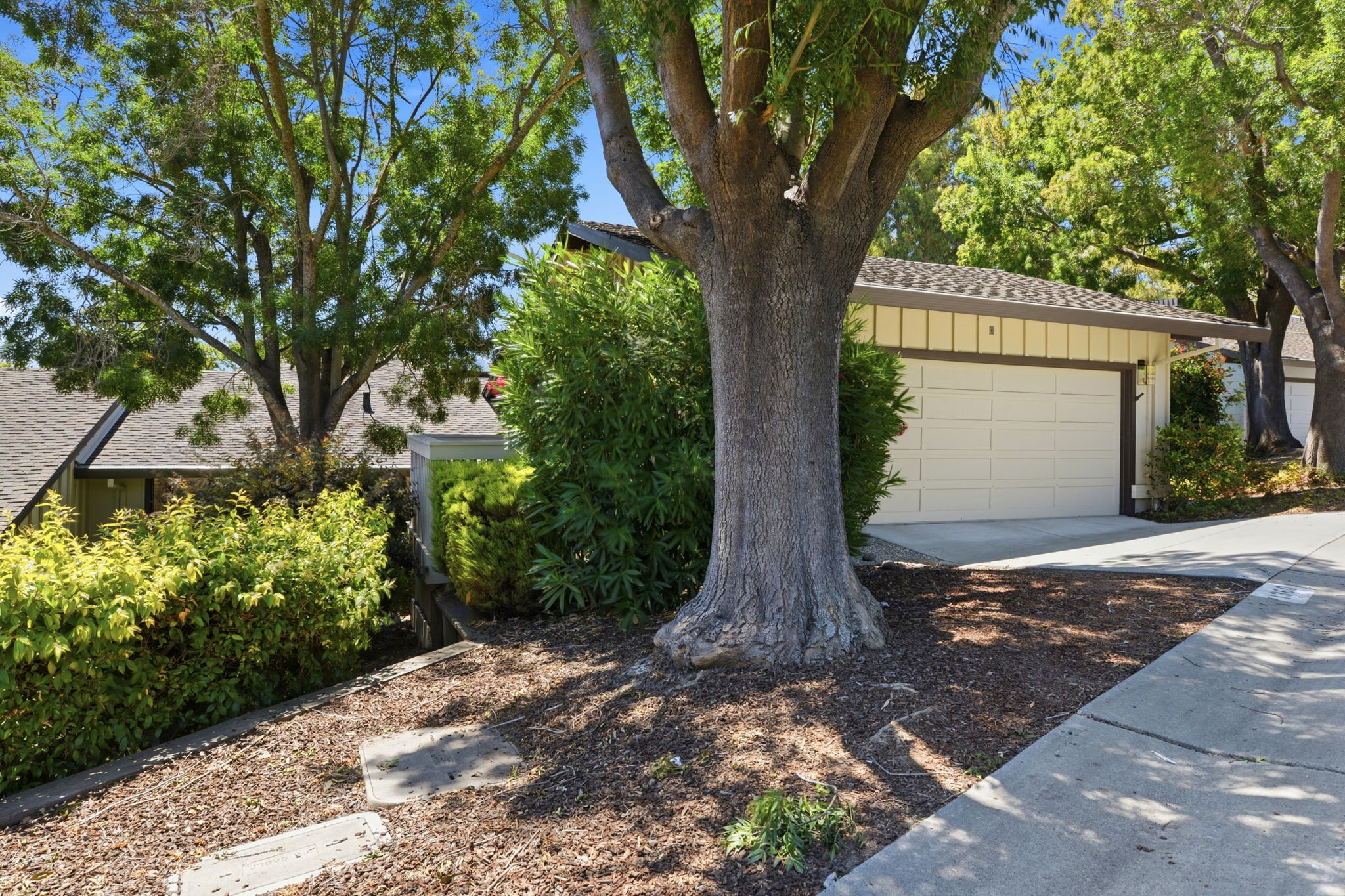 003_F8_1360 Trinity Dr