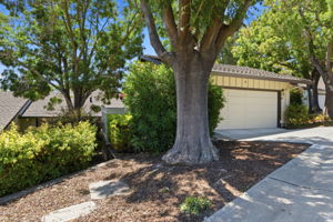 003_F8_1360 Trinity Dr