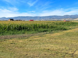  Photo 35