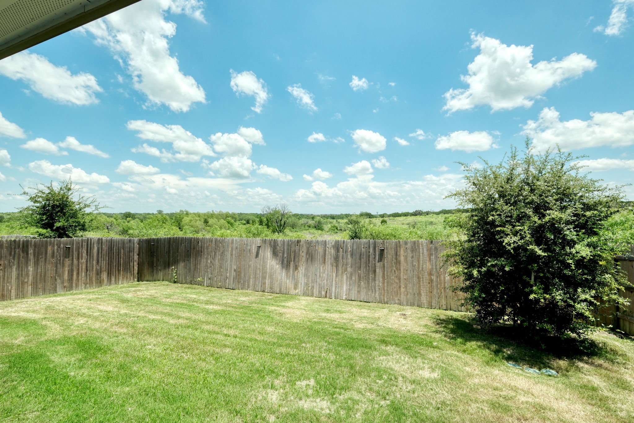 View from Back Patio