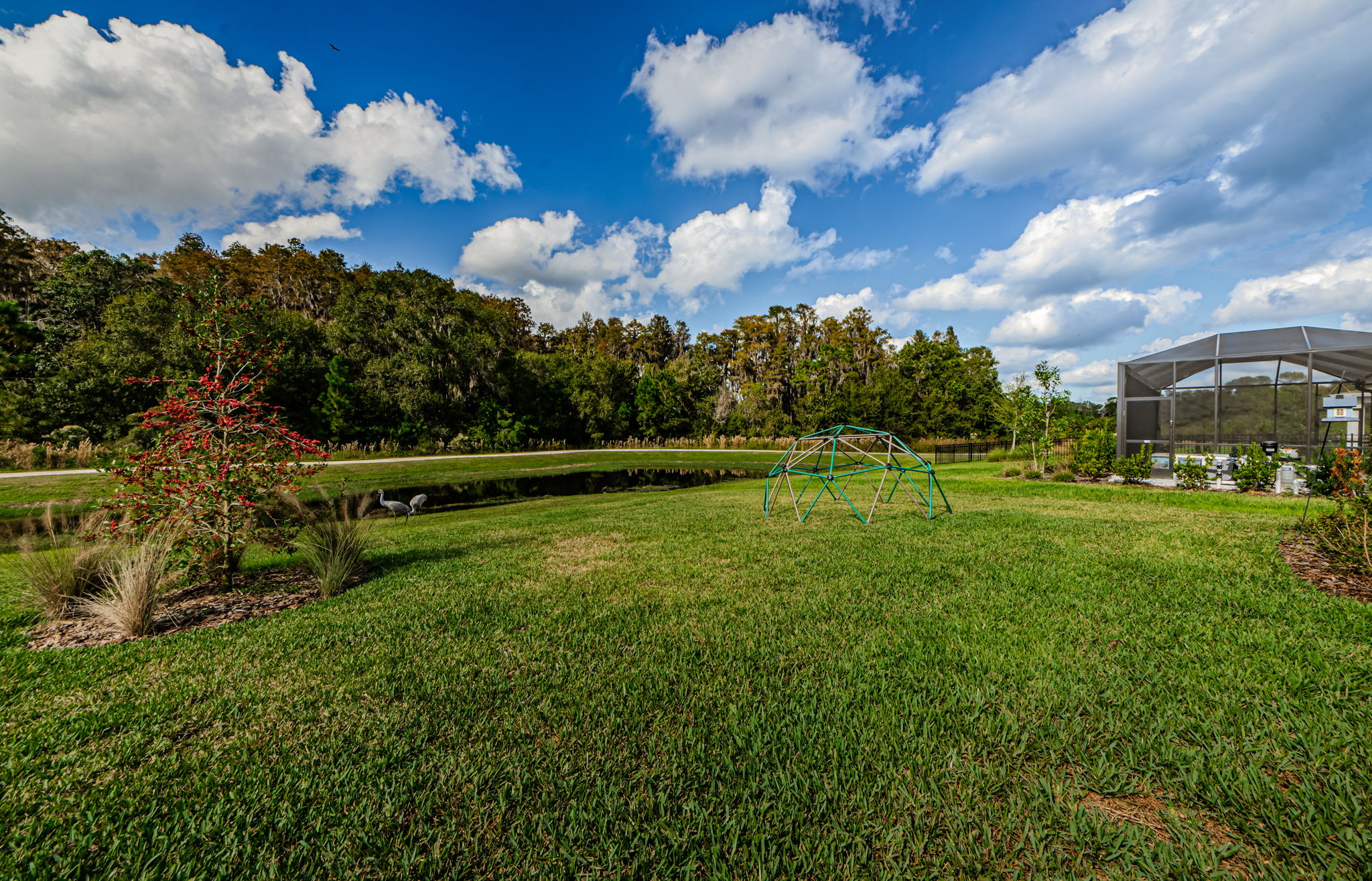 Backyard 2