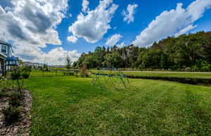 Backyard 1