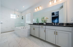 Upper Level Master Bathroom 1a