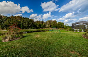 Backyard 2