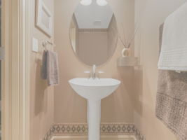  Photo 50