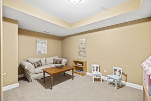 Lower Level Bonus Room