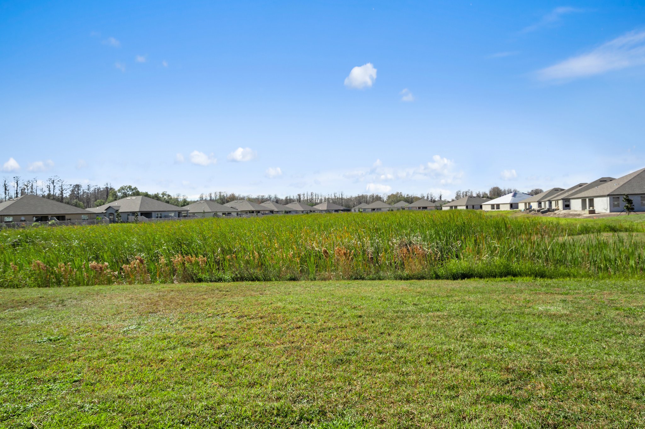 13619 Eastfork Ln, Hudson, FL 34669, USA Photo 25