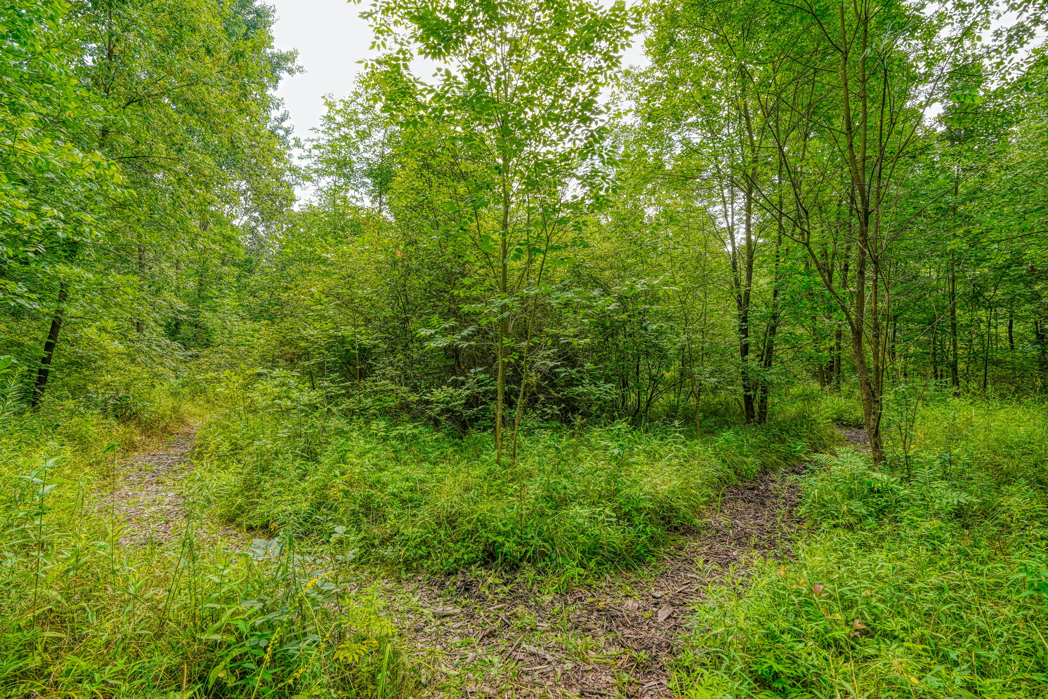 1362 St Rt 61 (81)