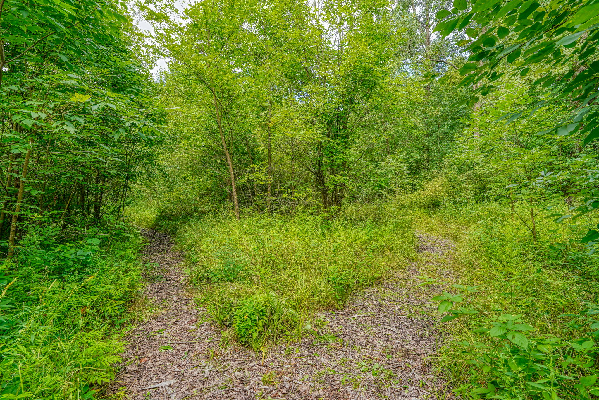 1362 St Rt 61 (82)
