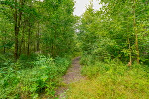 1362 St Rt 61 (79)