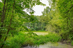 1362 St Rt 61 (80)