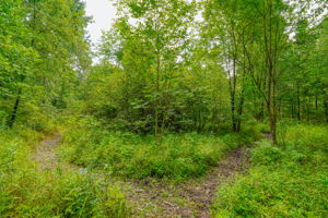 1362 St Rt 61 (81)