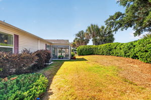 Side Yard with Privacy Landscaping
