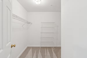 Primary Walk-in Closet