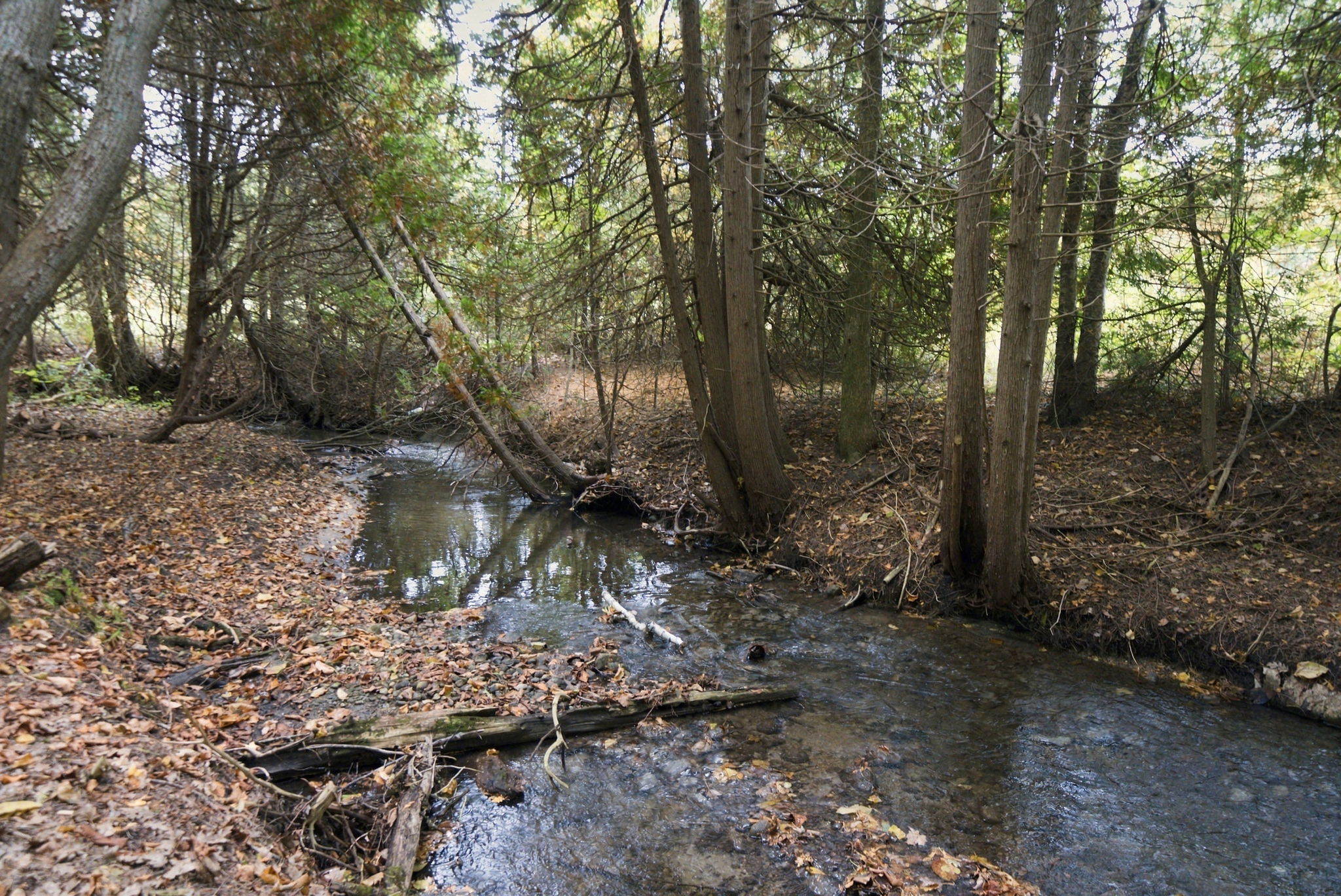  Photo 30
