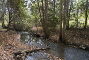  Photo 30
