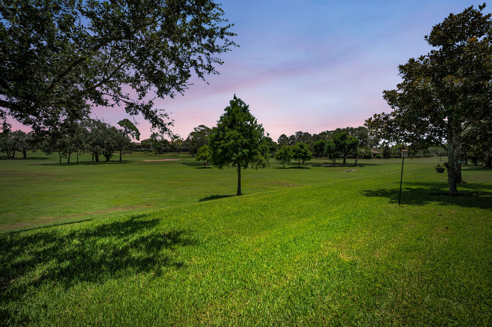 Backyard1