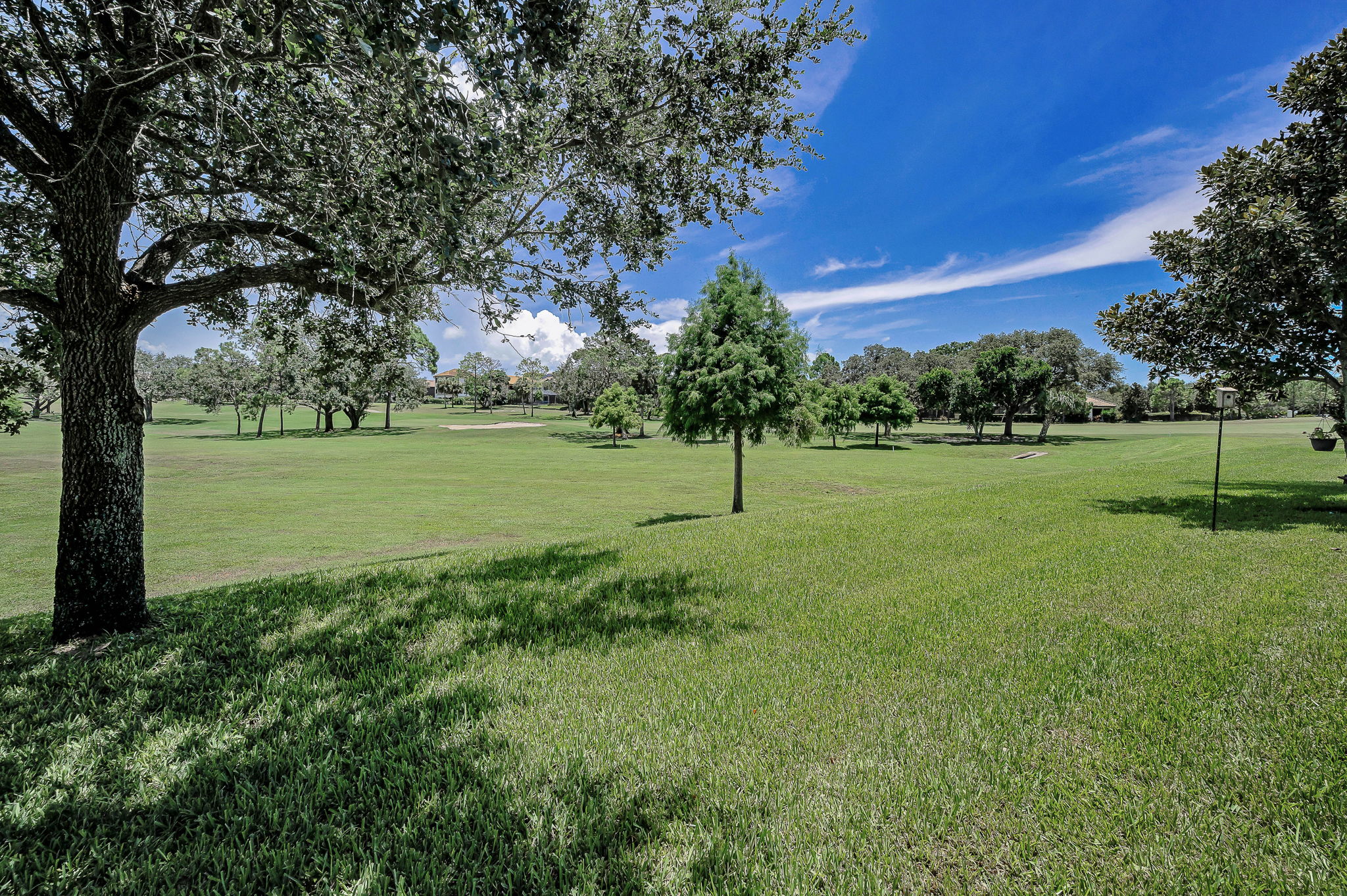 Backyard9