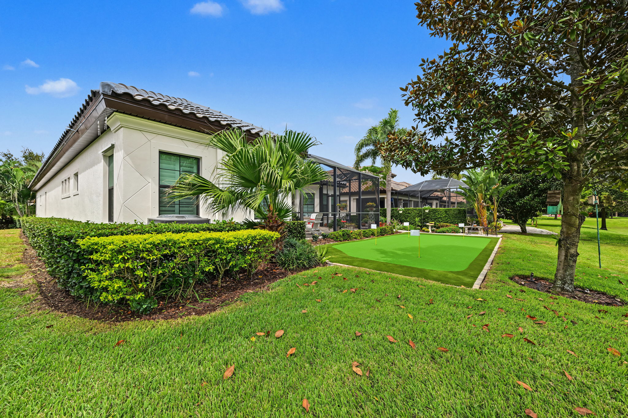 Backyard