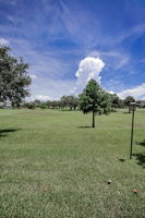 Backyard2