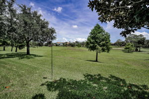 Backyard3