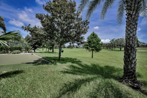 Backyard4