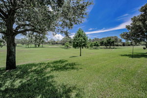 Backyard9