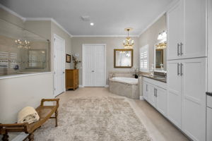 Primary Bathroom1a