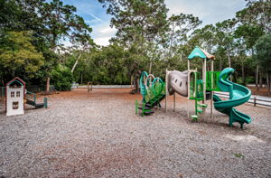 Park11
