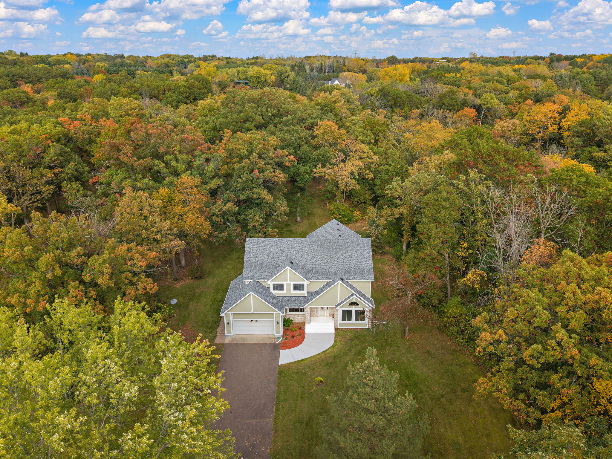 Mature Hardwoods including Oaks surround the property (17)