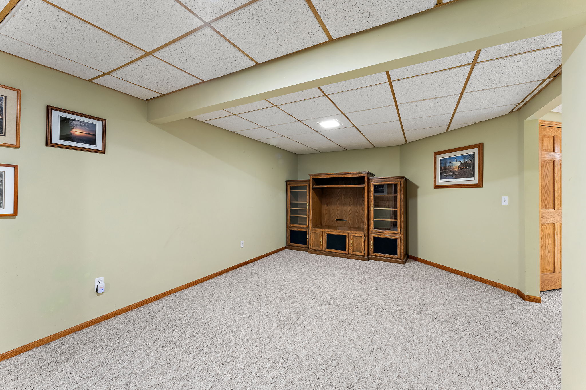 Flex (Gaming) Room 11x20 Lower Level (24)
