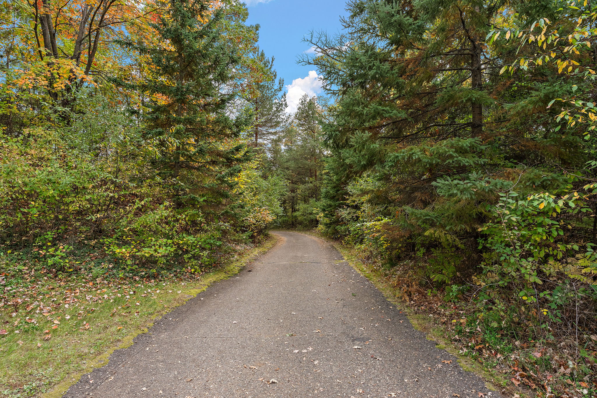 Private Wooded Drive (90)