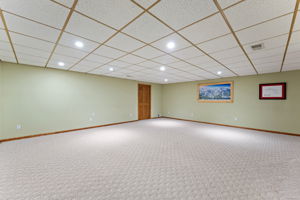 Family Room Lower Level (20)