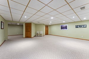 Family Room Lower Level(22)