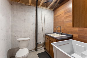 Lower Level 1/2 Bath with Dog Wash Tub (27)