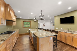 View with Wet Bar (39)