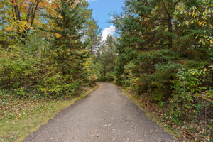 Private Wooded Drive (90)