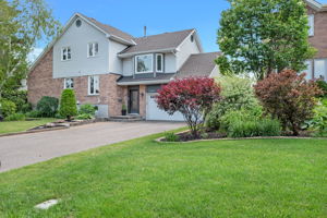  Photo 0