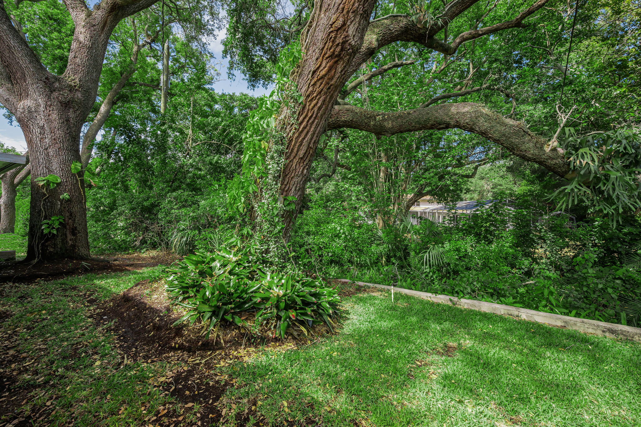 Backyard5