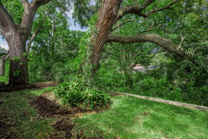 Backyard5
