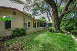 Backyard6