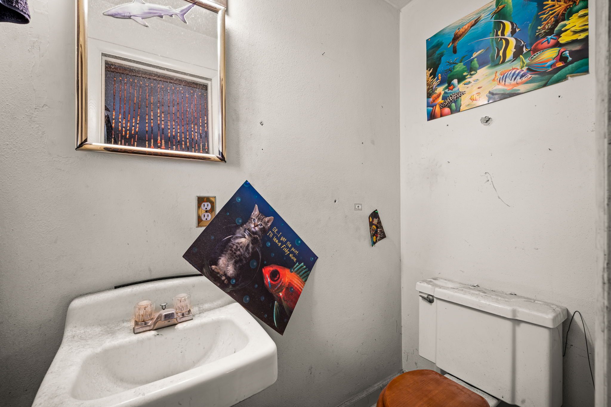  Photo 35