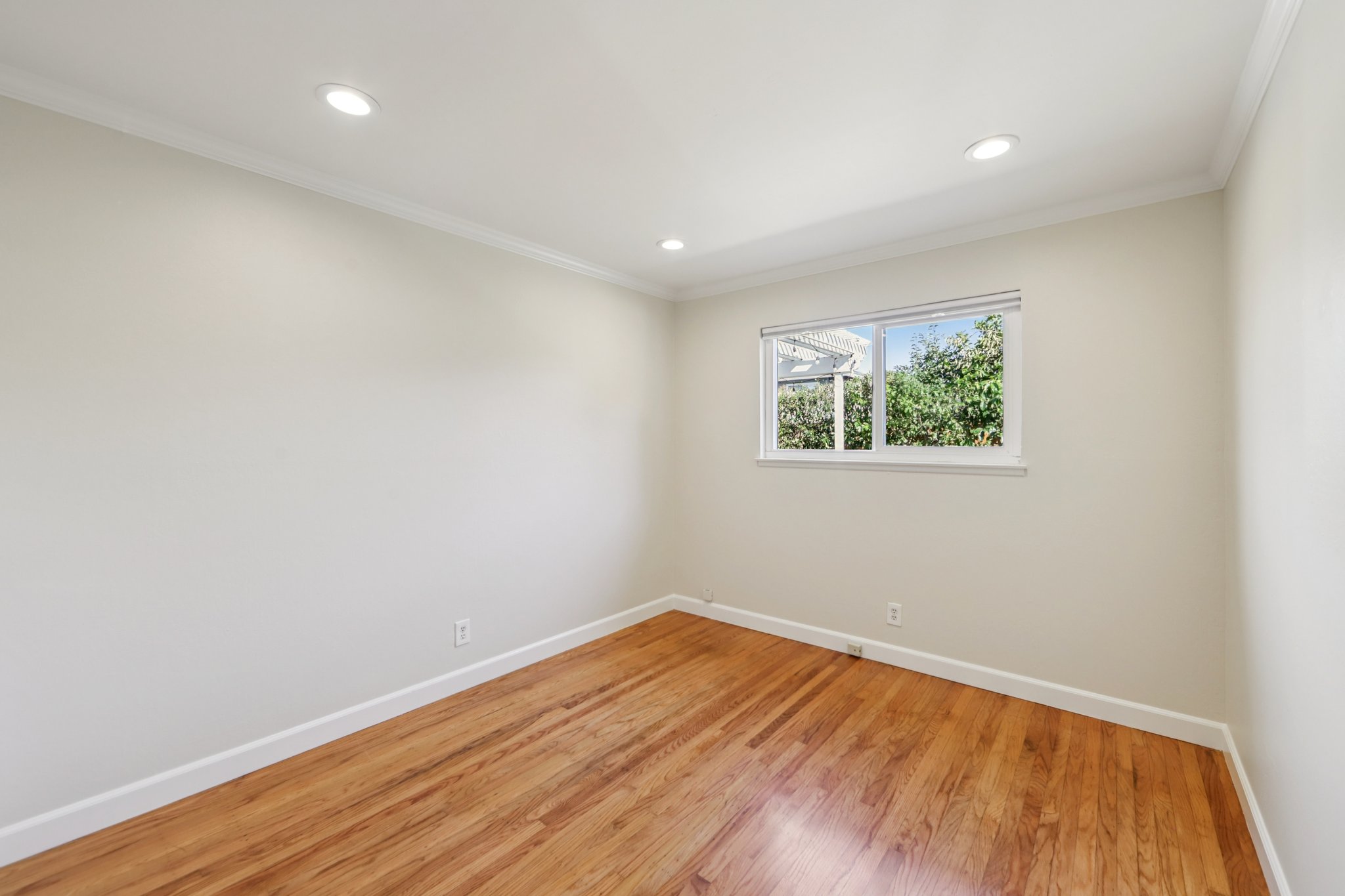 Cassandra Pl-S2806-020.jpg