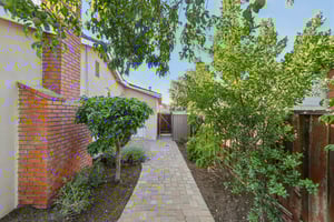 Cassandra Pl-S2806-042.jpg