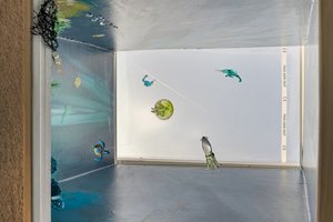  Photo 43
