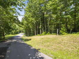 137 Ladys Fern Trail, Laurel Park, NC 28739, USA Photo 15