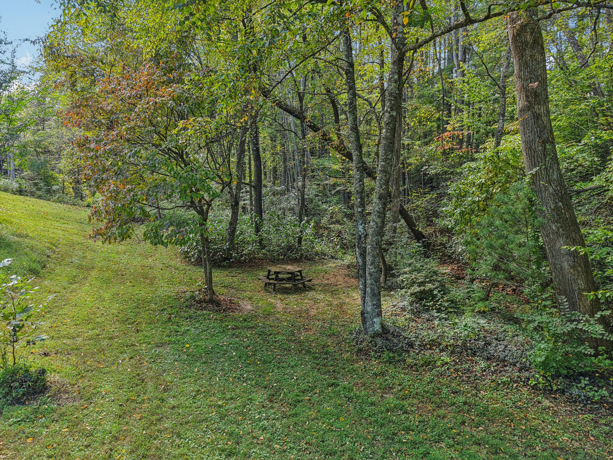 Last Resort Terrace-S0310-097.jpg